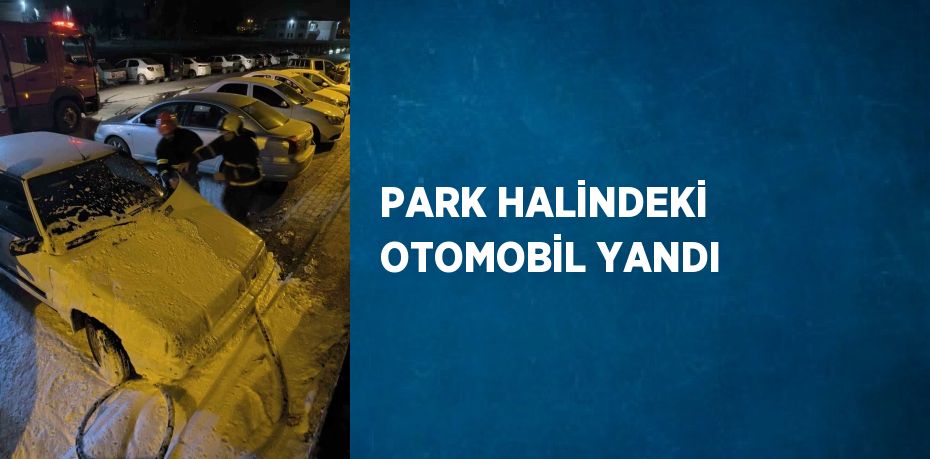 PARK HALİNDEKİ OTOMOBİL YANDI