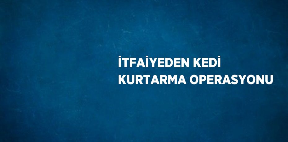 İTFAİYEDEN KEDİ KURTARMA OPERASYONU