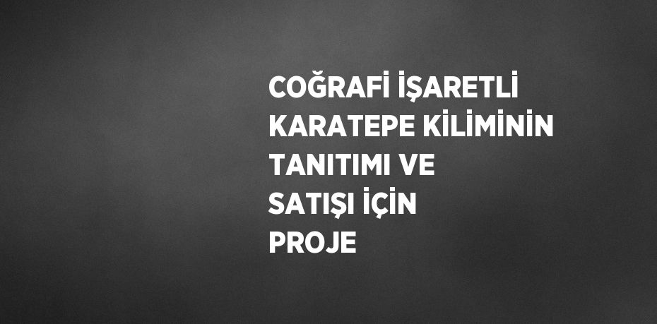 COĞRAFİ İŞARETLİ KARATEPE KİLİMİNİN TANITIMI VE SATIŞI İÇİN PROJE