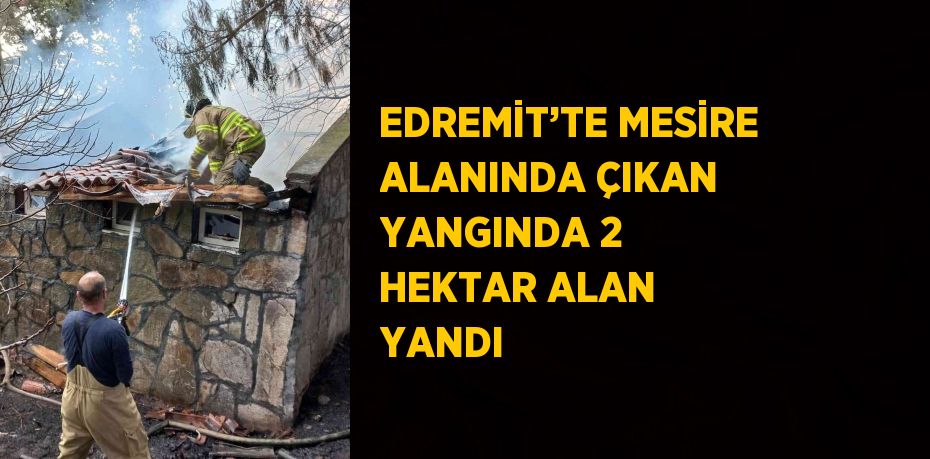 EDREMİT’TE MESİRE ALANINDA ÇIKAN YANGINDA 2 HEKTAR ALAN YANDI