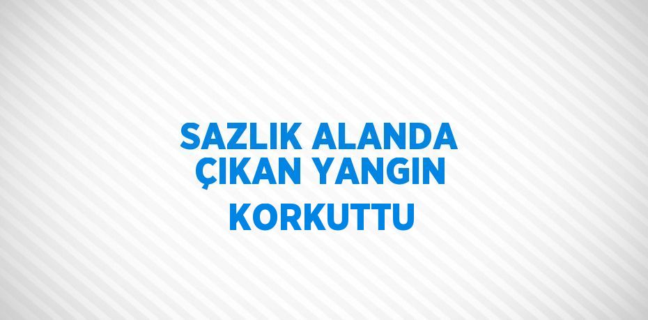 SAZLIK ALANDA ÇIKAN YANGIN KORKUTTU