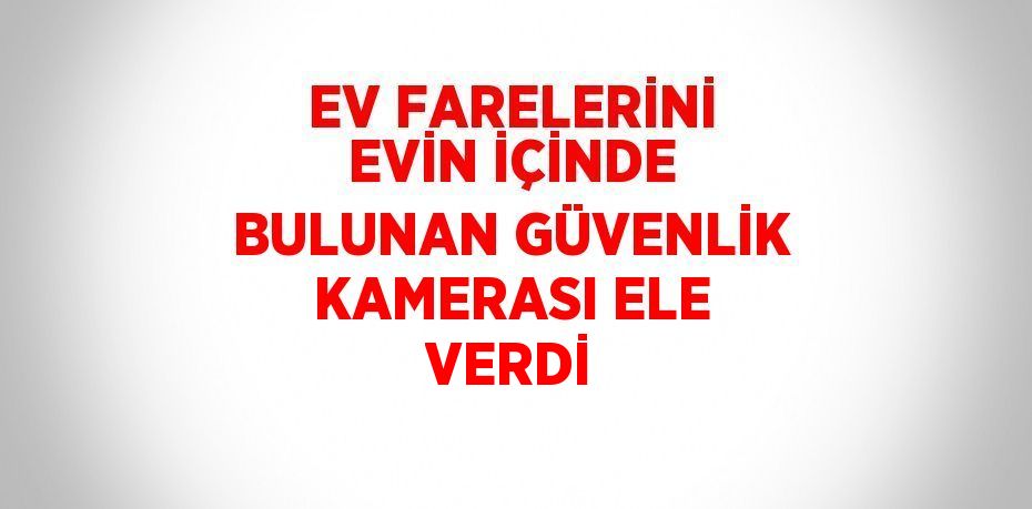 EV FARELERİNİ EVİN İÇİNDE BULUNAN GÜVENLİK KAMERASI ELE VERDİ