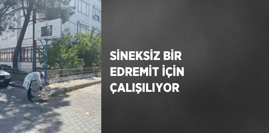 SİNEKSİZ BİR EDREMİT İÇİN ÇALIŞILIYOR