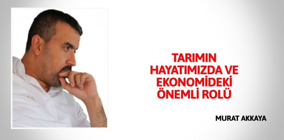 TARIMIN HAYATIMIZDA VE EKONOMİDEKİ ÖNEMLİ ROLÜ