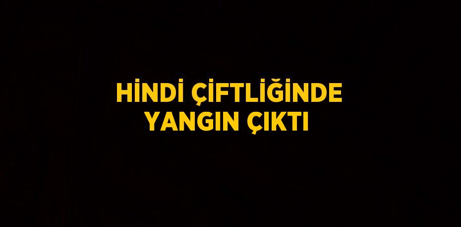 HİNDİ ÇİFTLİĞİNDE YANGIN ÇIKTI