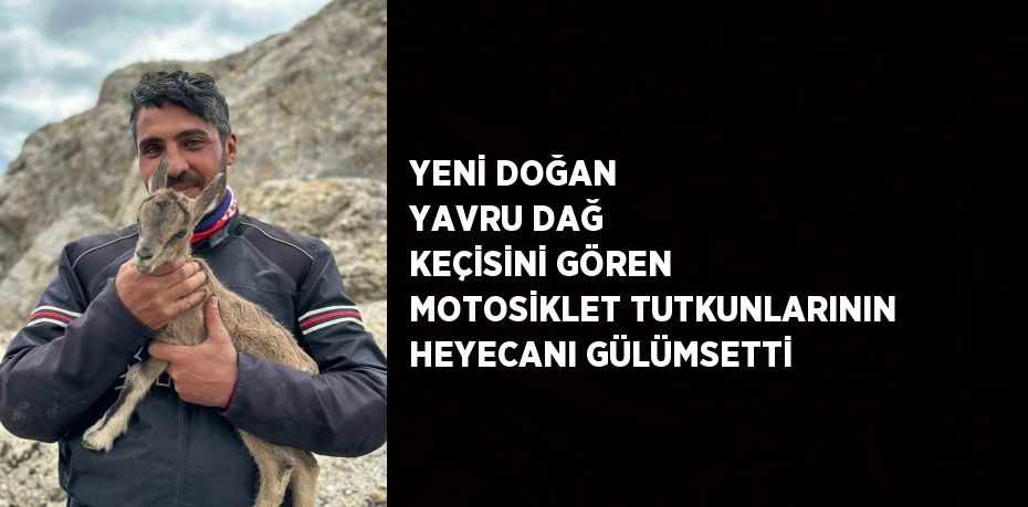 YENİ DOĞAN YAVRU DAĞ KEÇİSİNİ GÖREN MOTOSİKLET TUTKUNLARININ HEYECANI GÜLÜMSETTİ