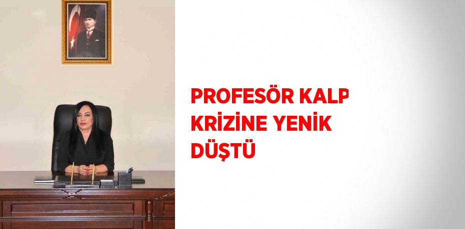 PROFESÖR KALP KRİZİNE YENİK DÜŞTÜ