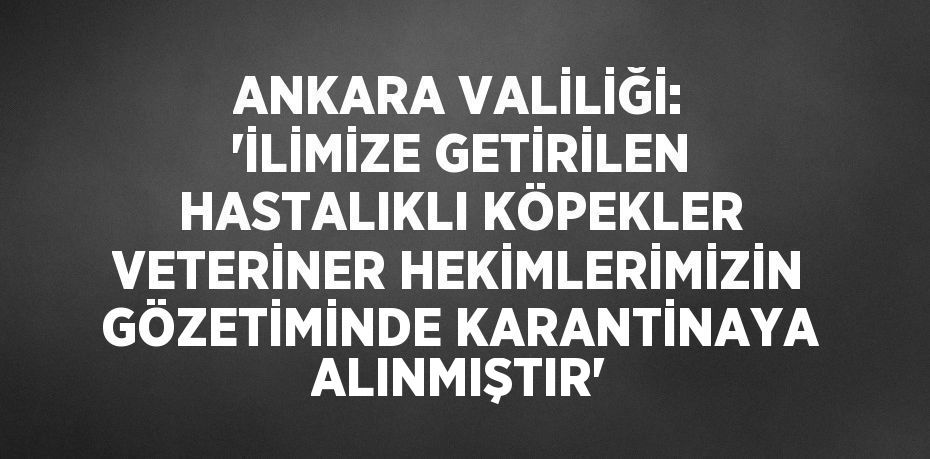 ANKARA VALİLİĞİ: 'İLİMİZE GETİRİLEN HASTALIKLI KÖPEKLER VETERİNER HEKİMLERİMİZİN GÖZETİMİNDE KARANTİNAYA ALINMIŞTIR'