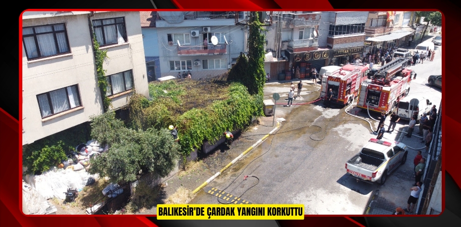 Balıkesir'de çardak yangını korkuttu