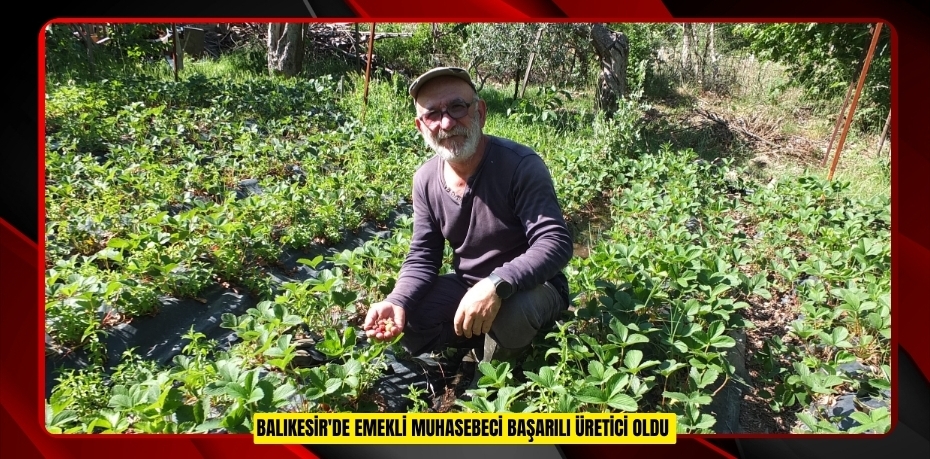 Balıkesir'de emekli muhasebeci başarılı üretici ol