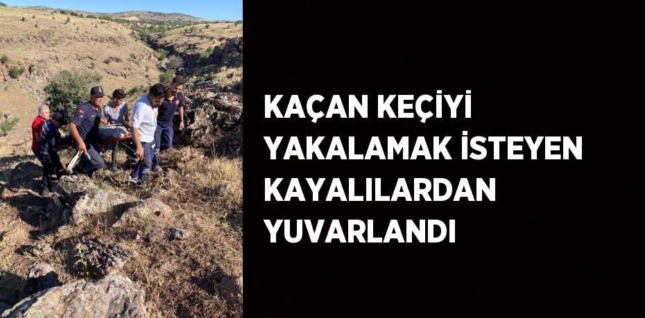 KAÇAN KEÇİYİ YAKALAMAK İSTEYEN KAYALILARDAN YUVARLANDI