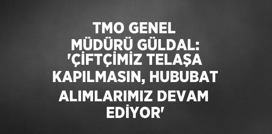 TMO GENEL MÜDÜRÜ GÜLDAL: 'ÇİFTÇİMİZ TELAŞA KAPILMASIN, HUBUBAT ALIMLARIMIZ DEVAM EDİYOR'