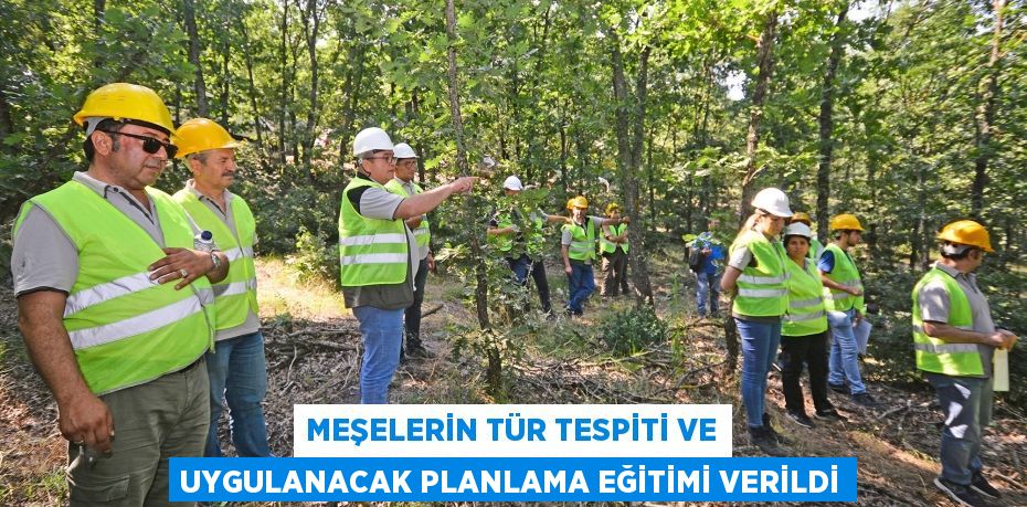 Meşelerin tür tespiti ve uygulanacak planlama eğitimi verildi