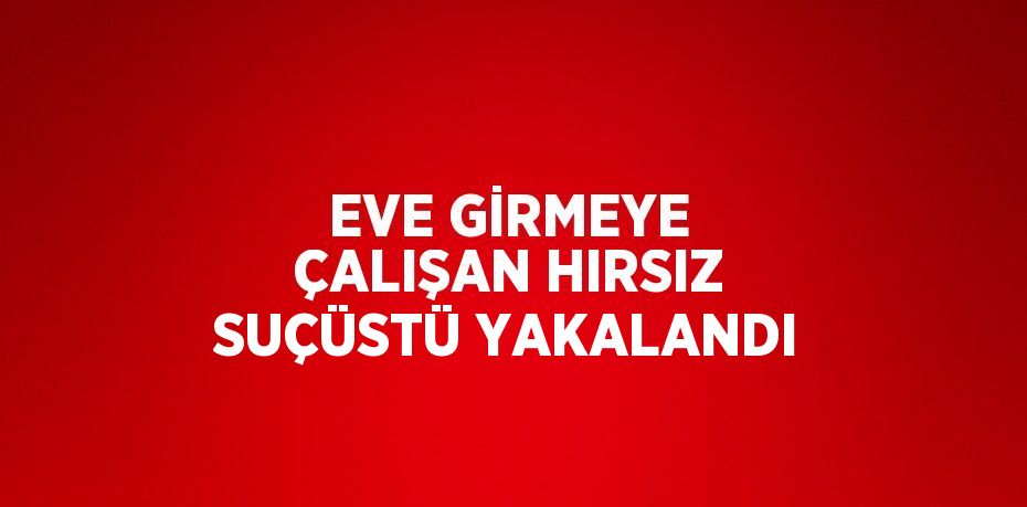 EVE GİRMEYE ÇALIŞAN HIRSIZ SUÇÜSTÜ YAKALANDI