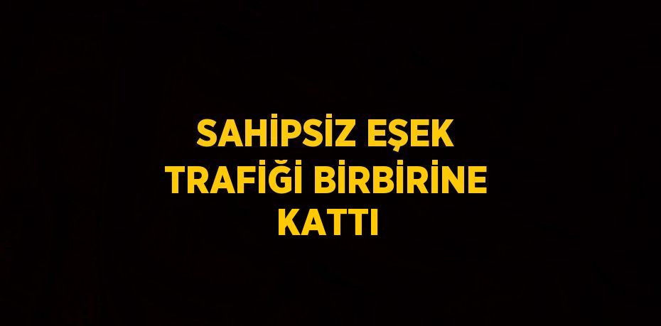 SAHİPSİZ EŞEK TRAFİĞİ BİRBİRİNE KATTI