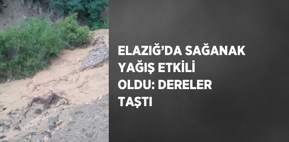 ELAZIĞ’DA SAĞANAK YAĞIŞ ETKİLİ OLDU: DERELER TAŞTI