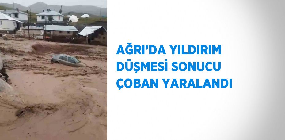 AĞRI’DA YILDIRIM DÜŞMESİ SONUCU ÇOBAN YARALANDI