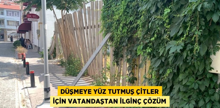 DÜŞMEYE YÜZ TUTMUŞ ÇİTLER İÇİN VATANDAŞTAN İLGİNÇ ÇÖZÜM