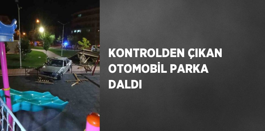 KONTROLDEN ÇIKAN OTOMOBİL PARKA DALDI