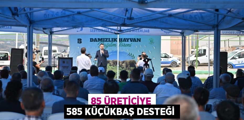 85 üreticiye 585 küçükbaş desteği