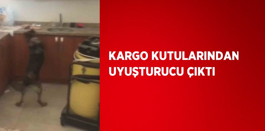 KARGO KUTULARINDAN UYUŞTURUCU ÇIKTI