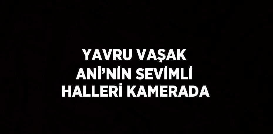 YAVRU VAŞAK ANİ’NİN SEVİMLİ HALLERİ KAMERADA