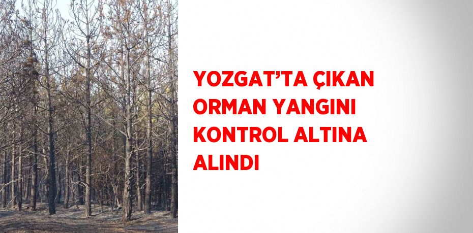 YOZGAT’TA ÇIKAN ORMAN YANGINI KONTROL ALTINA ALINDI