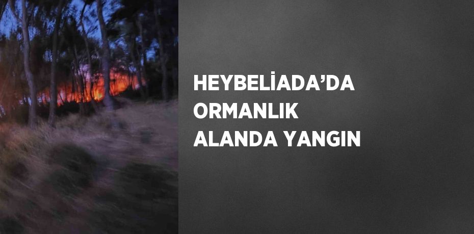 HEYBELİADA’DA ORMANLIK ALANDA YANGIN