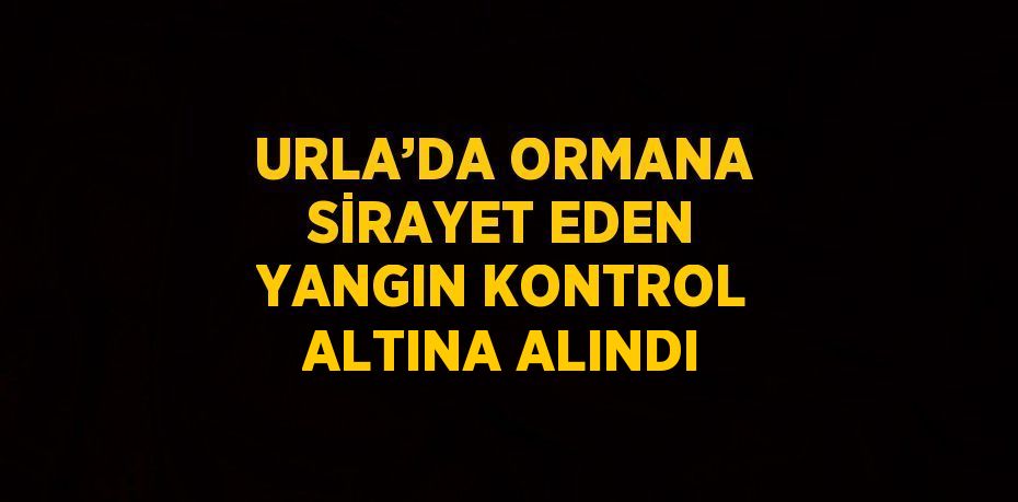 URLA’DA ORMANA SİRAYET EDEN YANGIN KONTROL ALTINA ALINDI