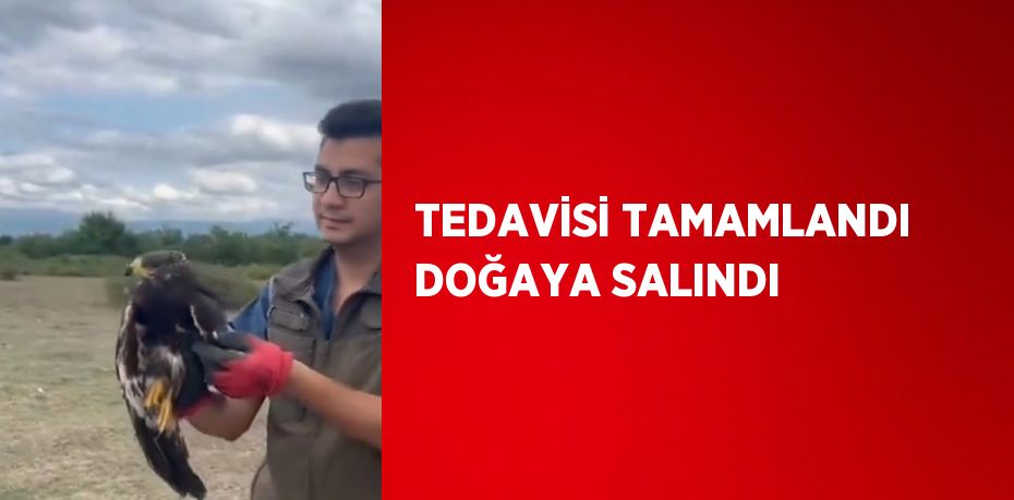 TEDAVİSİ TAMAMLANDI DOĞAYA SALINDI