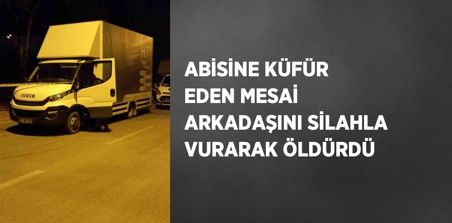 ABİSİNE KÜFÜR EDEN MESAİ ARKADAŞINI SİLAHLA VURARAK ÖLDÜRDÜ