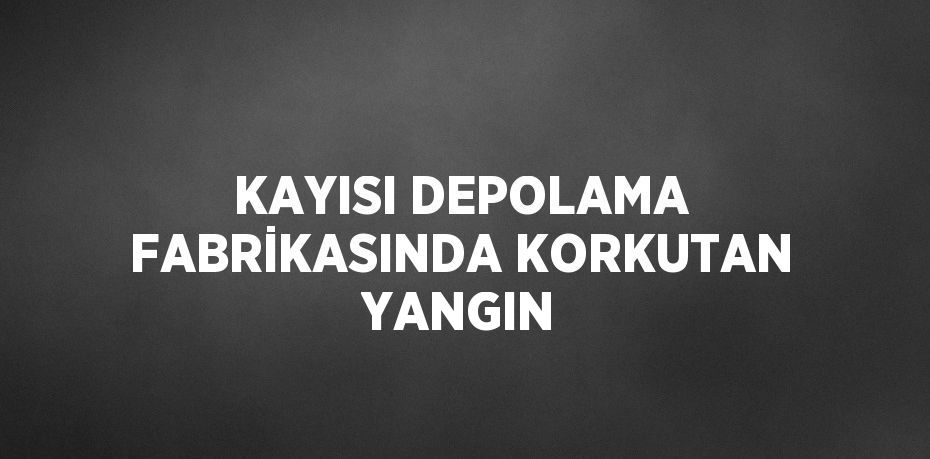 KAYISI DEPOLAMA FABRİKASINDA KORKUTAN YANGIN