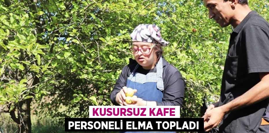 KUSURSUZ KAFE PERSONELİ ELMA TOPLADI