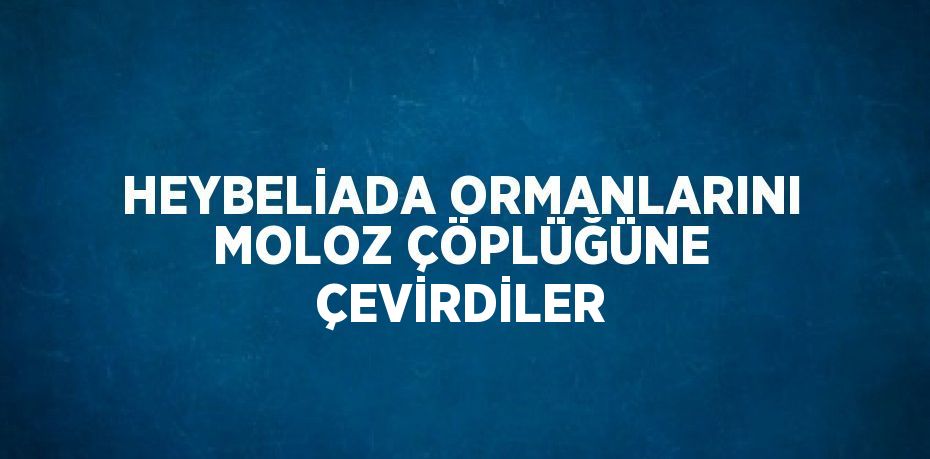 HEYBELİADA ORMANLARINI MOLOZ ÇÖPLÜĞÜNE ÇEVİRDİLER