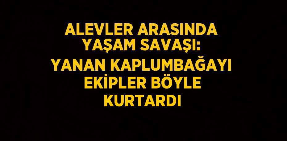 ALEVLER ARASINDA YAŞAM SAVAŞI: YANAN KAPLUMBAĞAYI EKİPLER BÖYLE KURTARDI