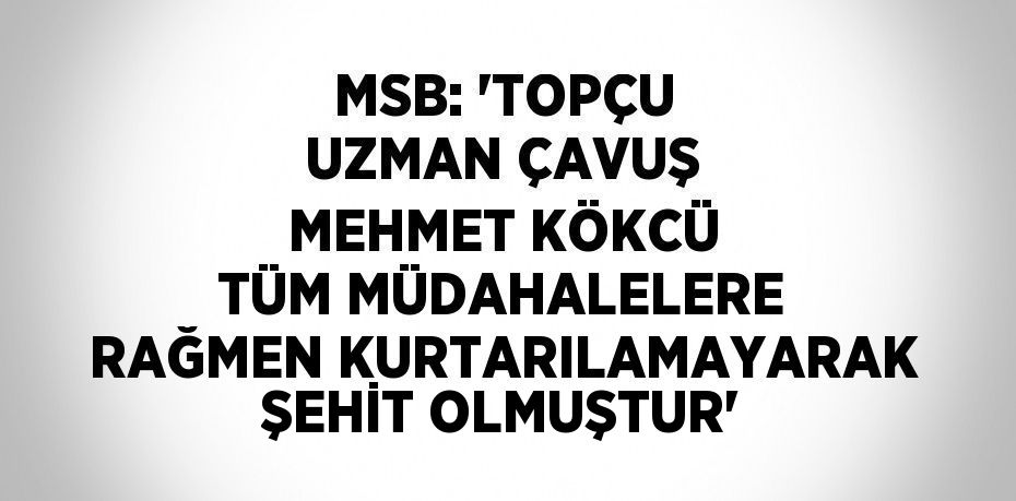 MSB: 'TOPÇU UZMAN ÇAVUŞ MEHMET KÖKCÜ TÜM MÜDAHALELERE RAĞMEN KURTARILAMAYARAK ŞEHİT OLMUŞTUR'