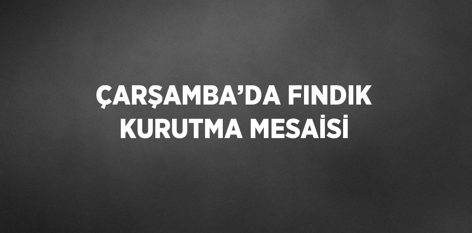 ÇARŞAMBA’DA FINDIK KURUTMA MESAİSİ