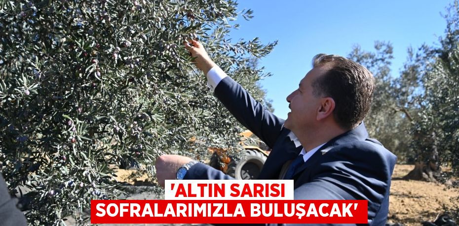 “Altın sarısı sofralarımızla buluşacak”