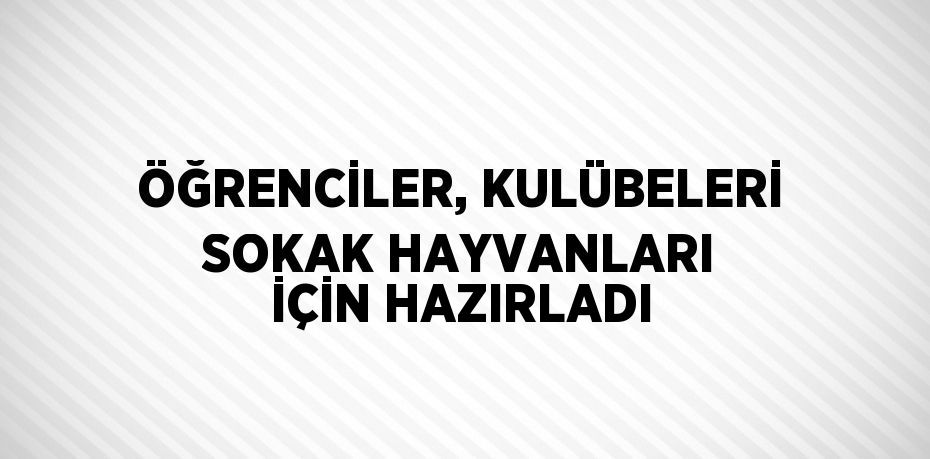 ÖĞRENCİLER, KULÜBELERİ SOKAK HAYVANLARI İÇİN HAZIRLADI