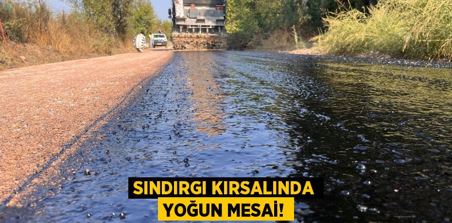 SINDIRGI KIRSALINDA YOĞUN MESAİ!