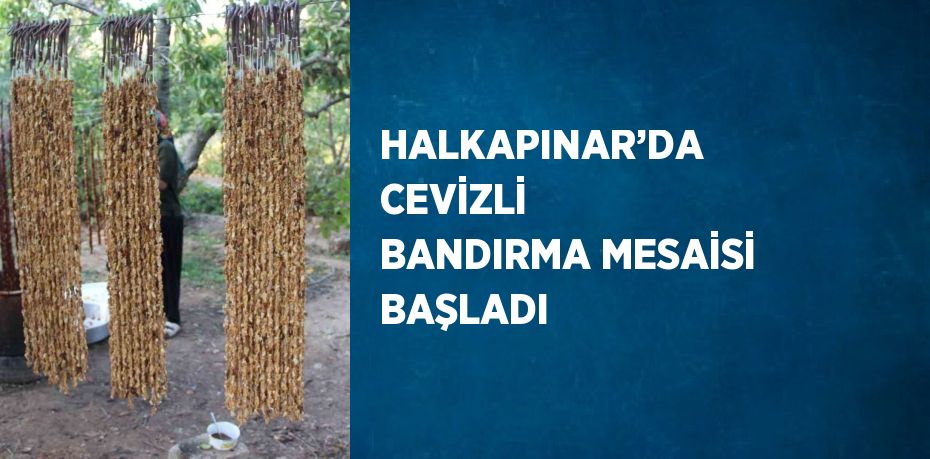 HALKAPINAR’DA CEVİZLİ BANDIRMA MESAİSİ BAŞLADI