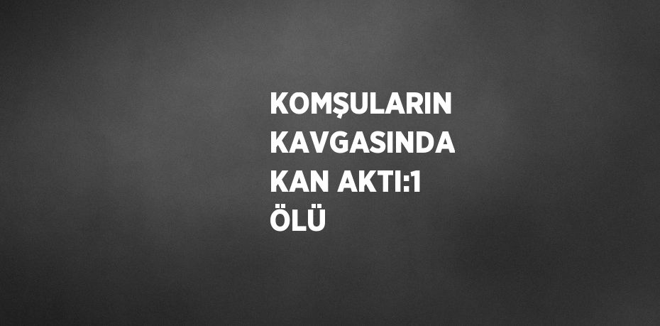 KOMŞULARIN KAVGASINDA KAN AKTI:1 ÖLÜ