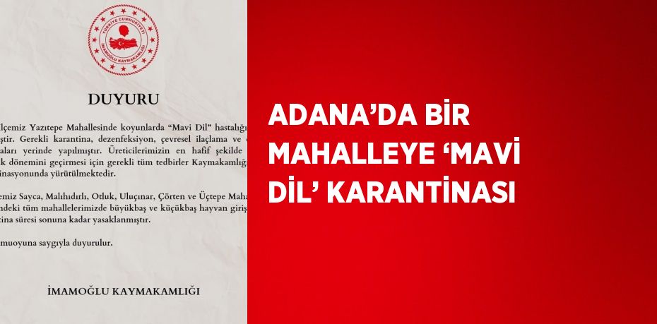 ADANA’DA BİR MAHALLEYE ‘MAVİ DİL’ KARANTİNASI