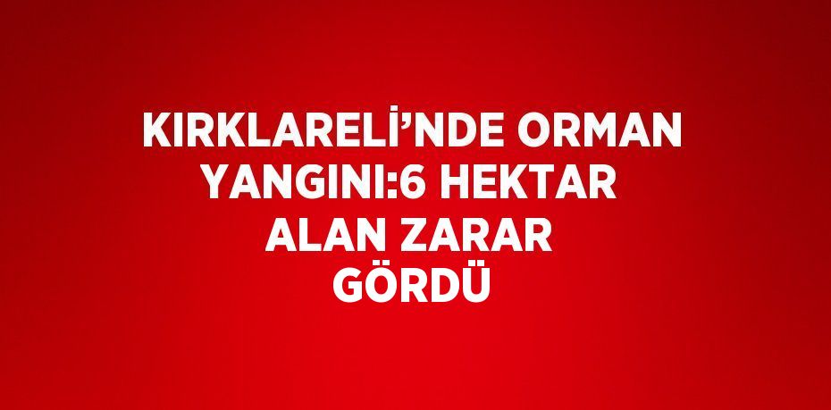 KIRKLARELİ’NDE ORMAN YANGINI:6 HEKTAR ALAN ZARAR GÖRDÜ