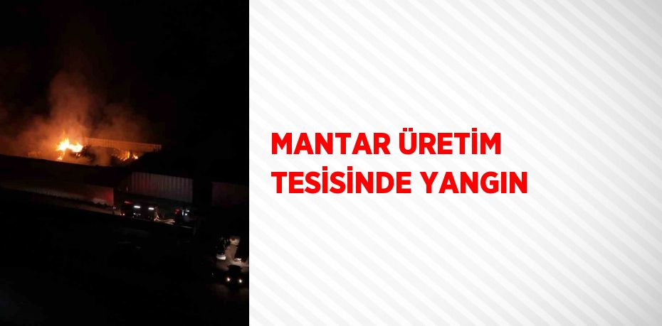 MANTAR ÜRETİM TESİSİNDE YANGIN