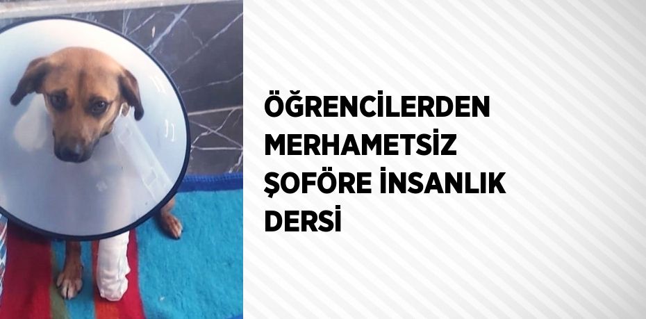 ÖĞRENCİLERDEN MERHAMETSİZ ŞOFÖRE İNSANLIK DERSİ