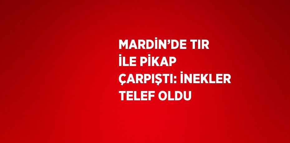 MARDİN’DE TIR İLE PİKAP ÇARPIŞTI: İNEKLER TELEF OLDU