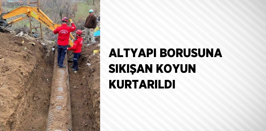 ALTYAPI BORUSUNA SIKIŞAN KOYUN KURTARILDI