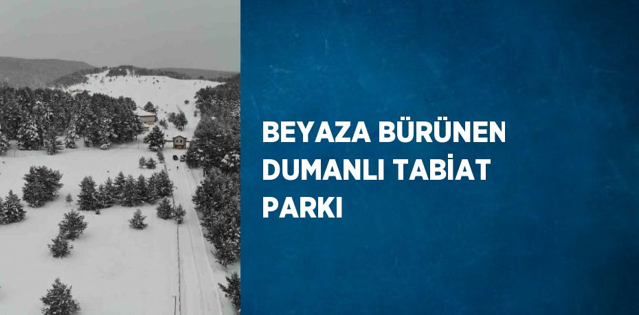 BEYAZA BÜRÜNEN DUMANLI TABİAT PARKI