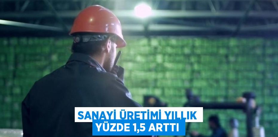 SANAYİ ÜRETİMİ YILLIK YÜZDE 1,5 ARTTI